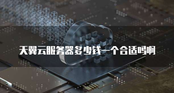 天翼云服务器多少钱一个合适吗啊
