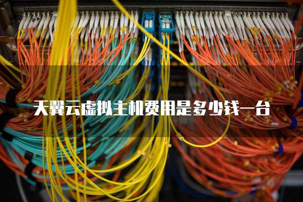 天翼云虚拟主机费用是多少钱一台