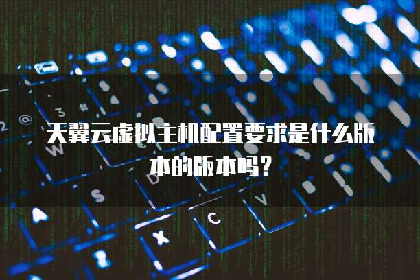 天翼云虚拟主机配置要求是什么版本的版本吗？