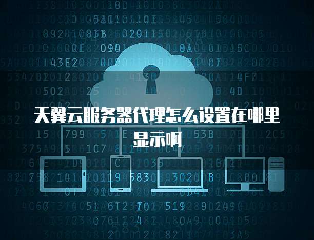 天翼云服务器代理怎么设置在哪里显示啊