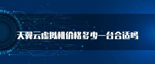 天翼云虚拟机价格多少一台合适吗
