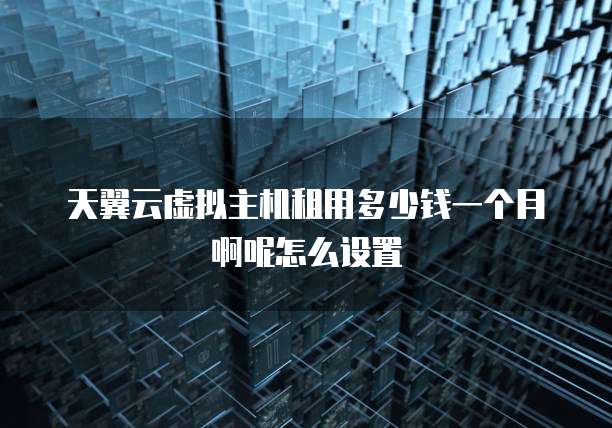 天翼云虚拟主机租用多少钱一个月啊呢怎么设置