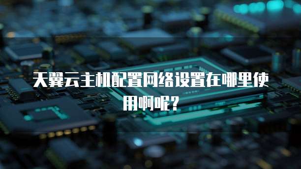 天翼云主机配置网络设置在哪里使用啊呢?