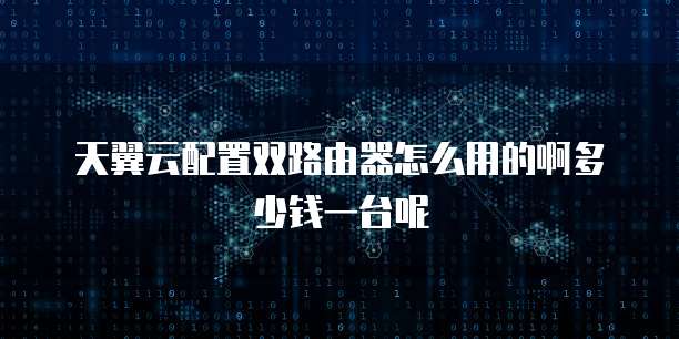 天翼云配置双路由器怎么用的啊多少钱一台呢