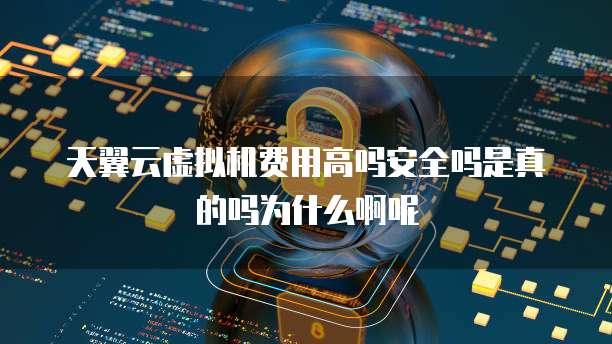 天翼云虚拟机费用高吗安全吗是真的吗为什么啊呢