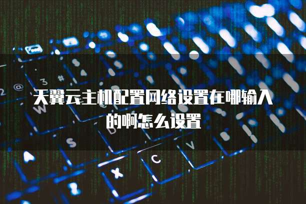 天翼云主机配置网络设置在哪输入的啊怎么设置
