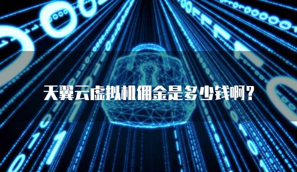 天翼云虚拟机佣金是多少钱啊?