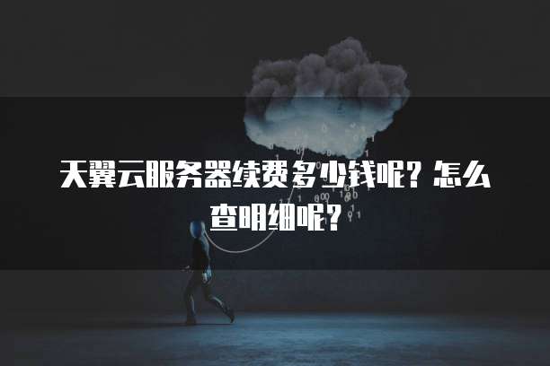 天翼云服务器续费多少钱呢？怎么查明细呢？