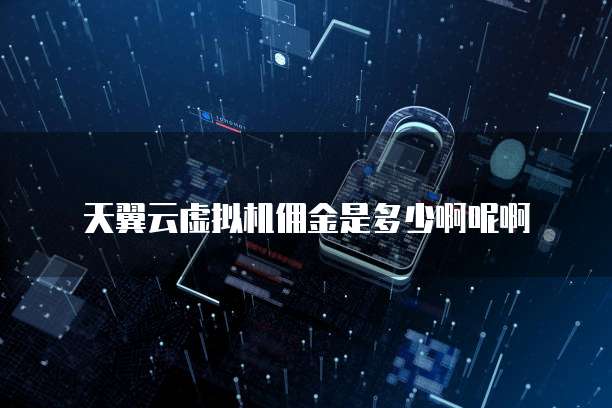 天翼云虚拟机佣金是多少啊呢啊