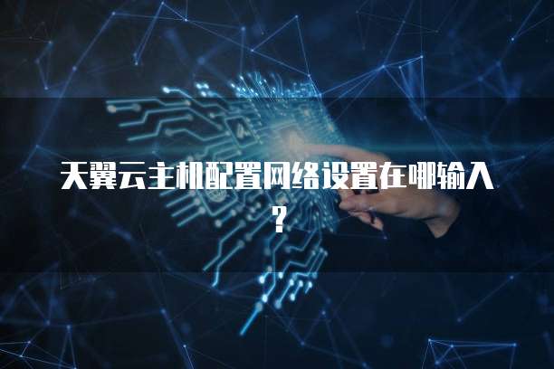 天翼云主机配置网络设置在哪输入？