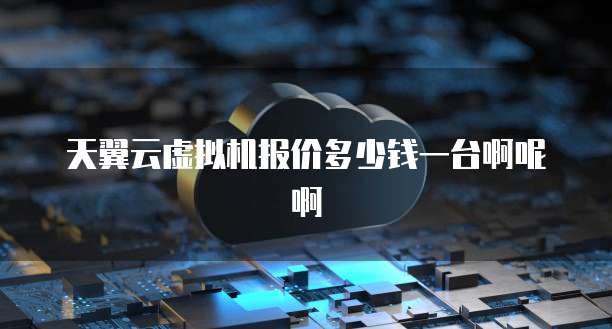 天翼云虚拟机报价多少钱一台啊呢啊