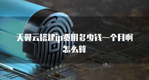 天翼云搭建ip费用多少钱一个月啊怎么算