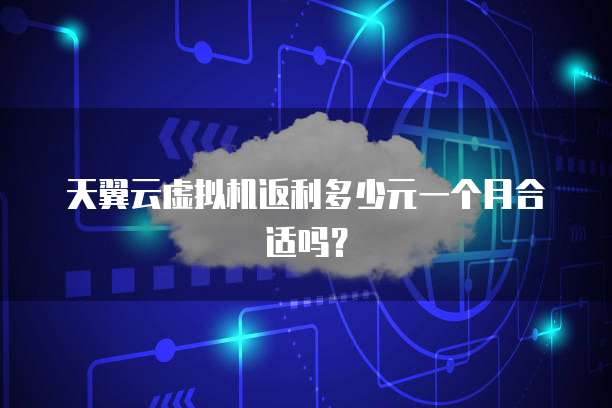 天翼云虚拟机返利多少元一个月合适吗?