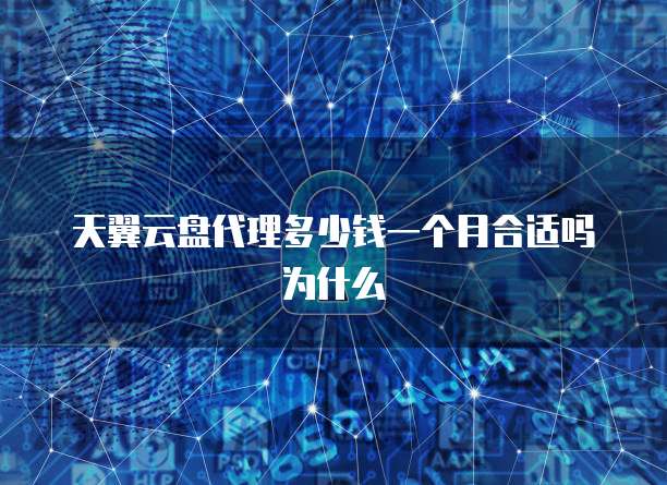 天翼云盘代理多少钱一个月合适吗为什么