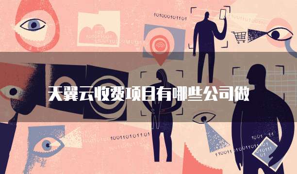 天翼云收费项目有哪些公司做