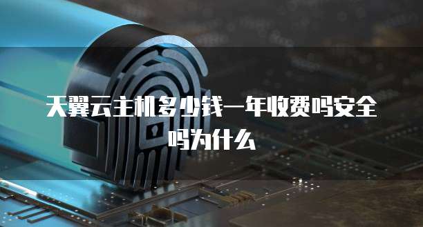 天翼云主机多少钱一年收费吗安全吗为什么