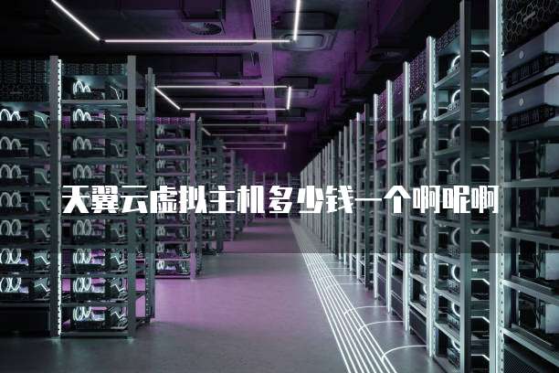 天翼云虚拟主机多少钱一个啊呢啊