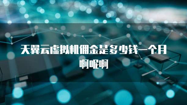 天翼云虚拟机佣金是多少钱一个月啊呢啊