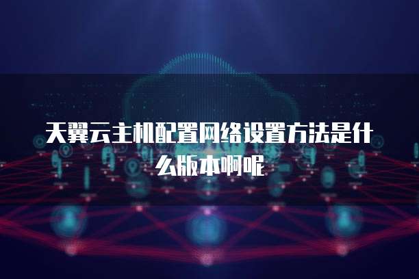 天翼云主机配置网络设置方法是什么版本啊呢