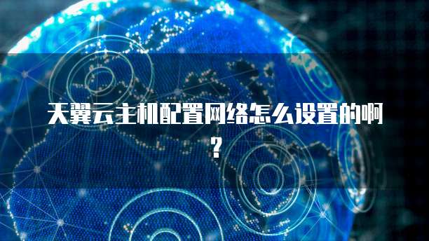 天翼云主机配置网络怎么设置的啊?