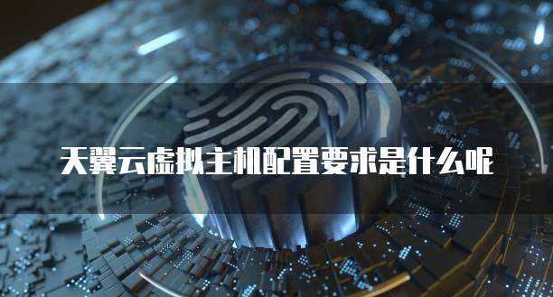 天翼云虚拟主机配置要求是什么呢