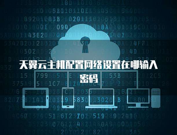 天翼云主机配置网络设置在哪输入密码