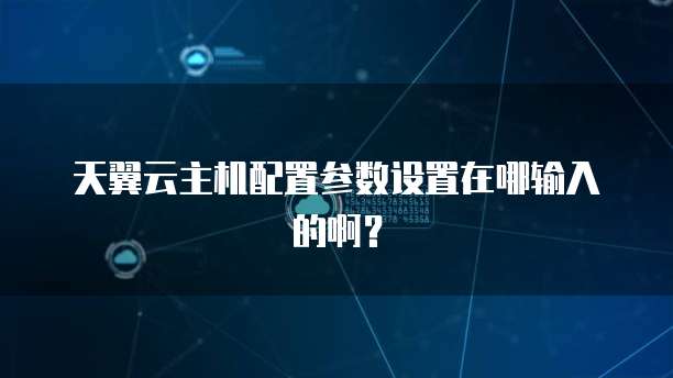 天翼云主机配置参数设置在哪输入的啊？