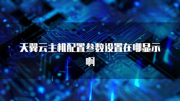 天翼云主机配置参数设置在哪显示啊