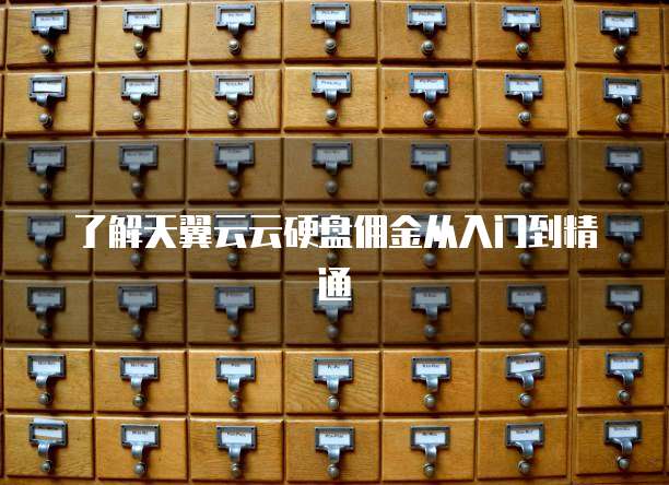 了解天翼云云硬盘佣金从入门到精通