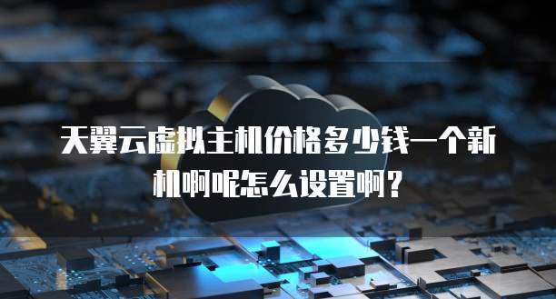 天翼云虚拟主机价格多少钱一个新机啊呢怎么设置啊?