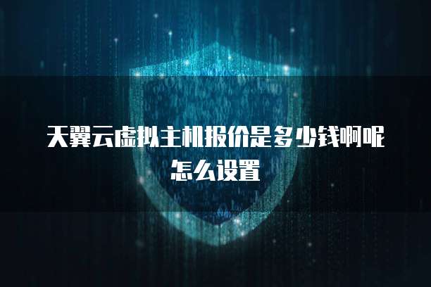 天翼云虚拟主机报价是多少钱啊呢怎么设置