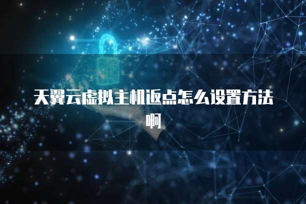 天翼云虚拟主机返点怎么设置方法啊