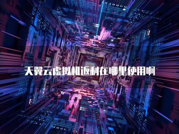 天翼云虚拟机返利在哪里使用啊