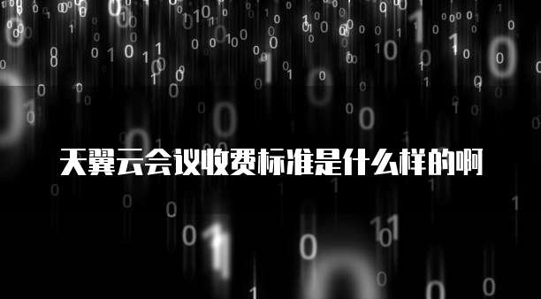 天翼云会议收费标准是什么样的啊
