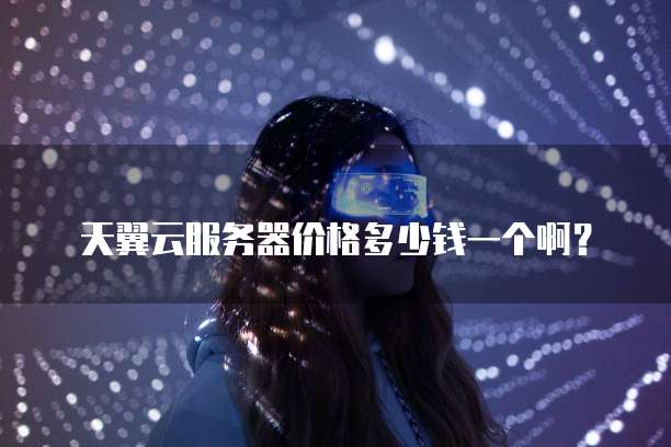 天翼云服务器价格多少钱一个啊?
