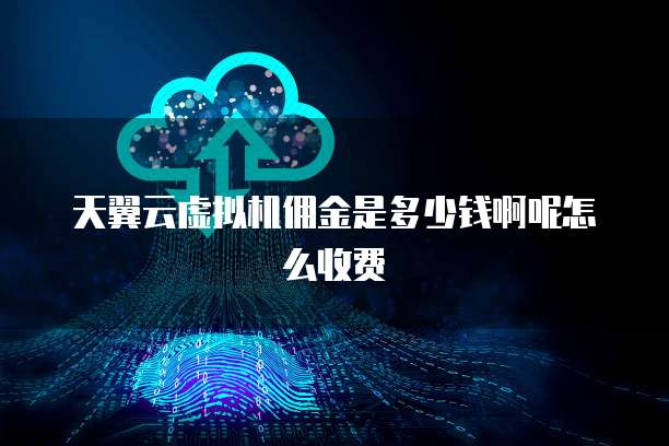 天翼云虚拟机佣金是多少钱啊呢怎么收费