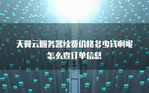 天翼云服务器续费价格多少钱啊呢怎么查订单信息
