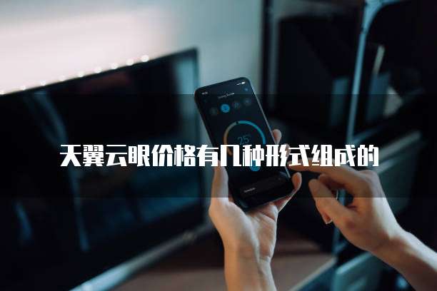 天翼云眼价格有几种形式组成的