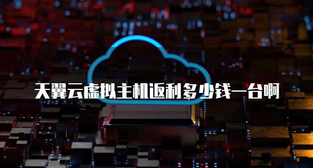 天翼云虚拟主机返利多少钱一台啊