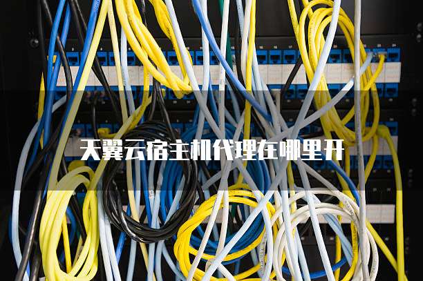 天翼云宿主机代理在哪里开