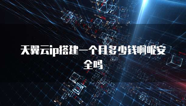 天翼云ip搭建一个月多少钱啊呢安全吗