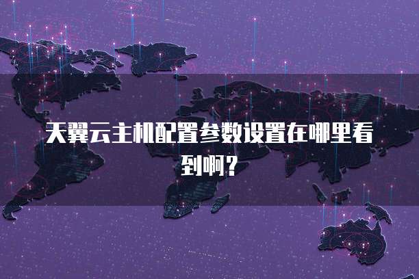 天翼云主机配置参数设置在哪里看到啊?