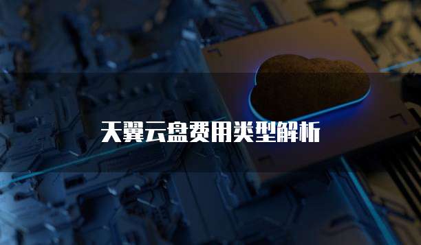 天翼云盘费用类型解析
