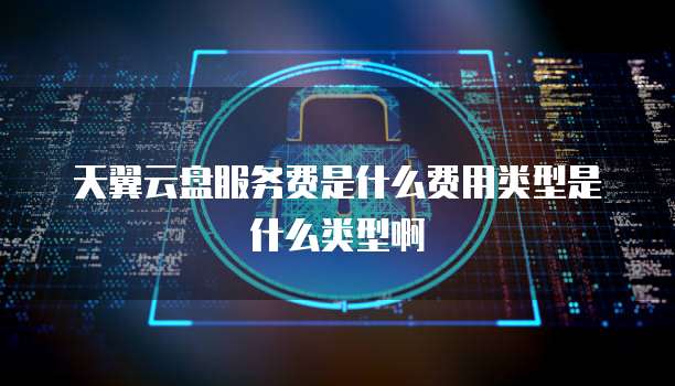 天翼云盘服务费是什么费用类型是什么类型啊