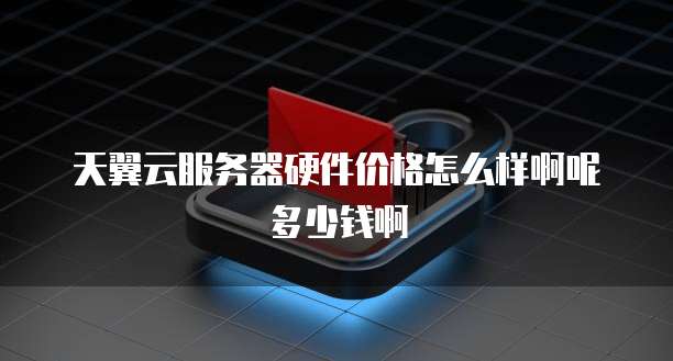 天翼云服务器硬件价格怎么样啊呢多少钱啊