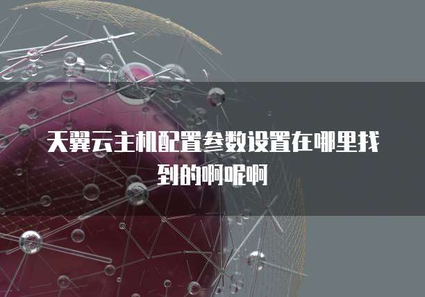 天翼云主机配置参数设置在哪里找到的啊呢啊