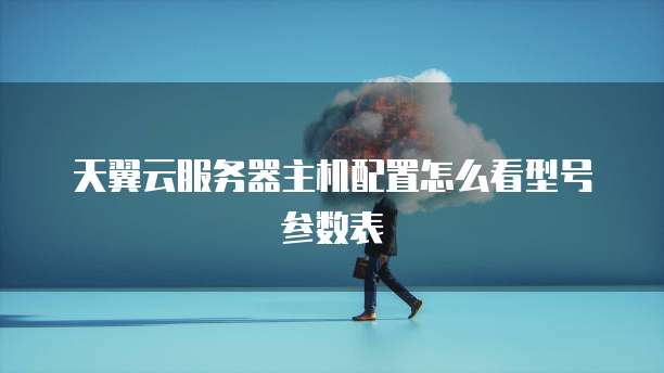 天翼云服务器主机配置怎么看型号参数表