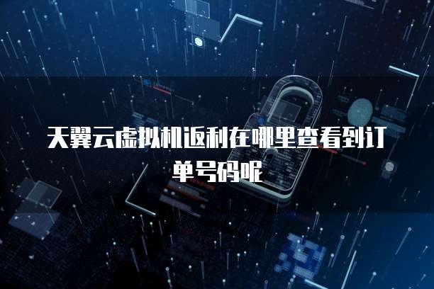 天翼云虚拟机返利在哪里查看到订单号码呢
