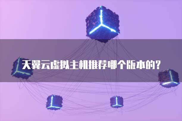 天翼云虚拟主机推荐哪个版本的？
