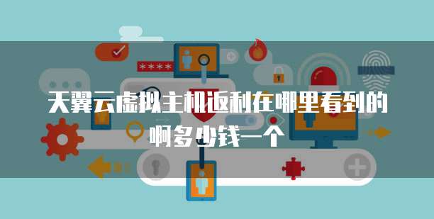 天翼云虚拟主机返利在哪里看到的啊多少钱一个